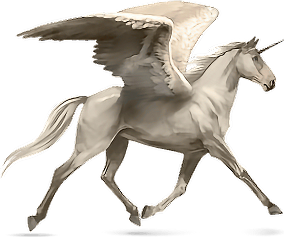 Horse Alado Aladus Cavalo Asas Wings Mikah014 - Howrse Palomino Transparent PNG - 586x490 - Free Download on - Horse Transparent PNG Free Download