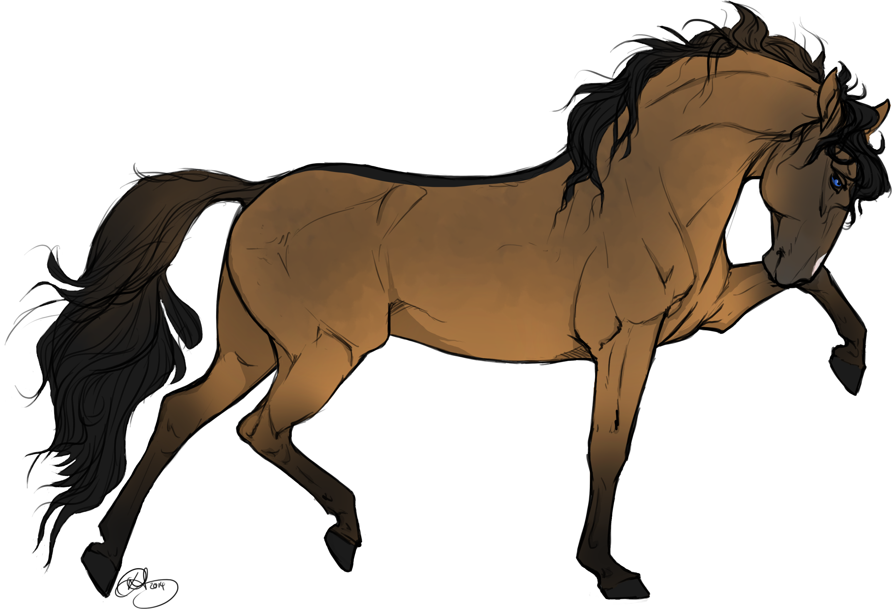 Drawn Horse Transparent - Drawings Of Brown Horses Transparent PNG - 3508x2480 - Free Download on - Horse Transparent PNG Free Download