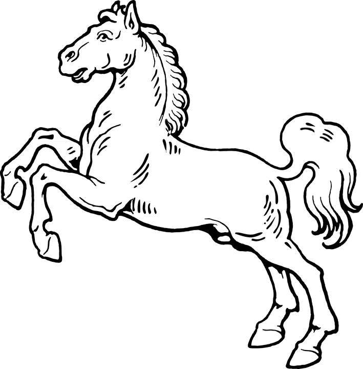 Horse In Black And White, HD Png Download - Horse Transparent PNG Free Download