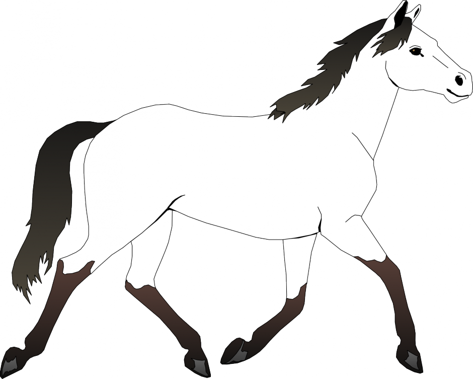 Coloring Book Horse Face Comic Animal Coloring Book - Horse Black And White Clipart Png - Free Transparent PNG Clipart Images Download. - Horse Transparent PNG Free Download