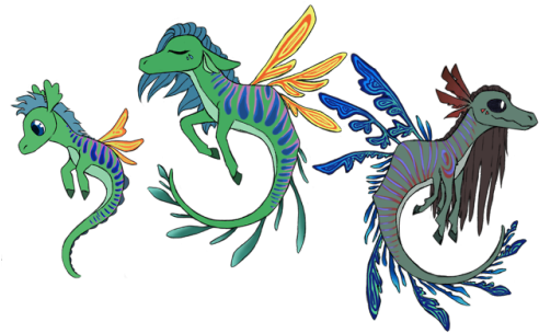 Water Horsewe Had Our Fair Share Of Solid Contenders, - Water Horse Dragon - Free Transparent PNG Clipart Images Download. - Horse Transparent PNG Free Download