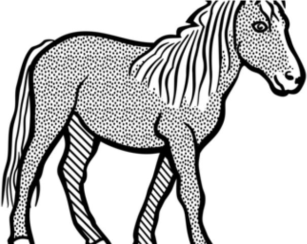 Unicorn Clipart Zebra - Clip Art Of Horse Black And White - Free Transparent PNG Clipart Images Download. - Horse Transparent PNG Free Download