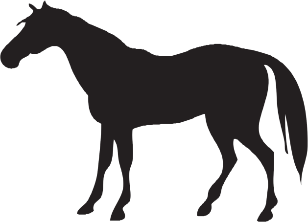 Horse Icon Png - Horse And Cow Silhouette Transparent PNG - 629x454 - Free Download on - Horse Transparent PNG Free Download