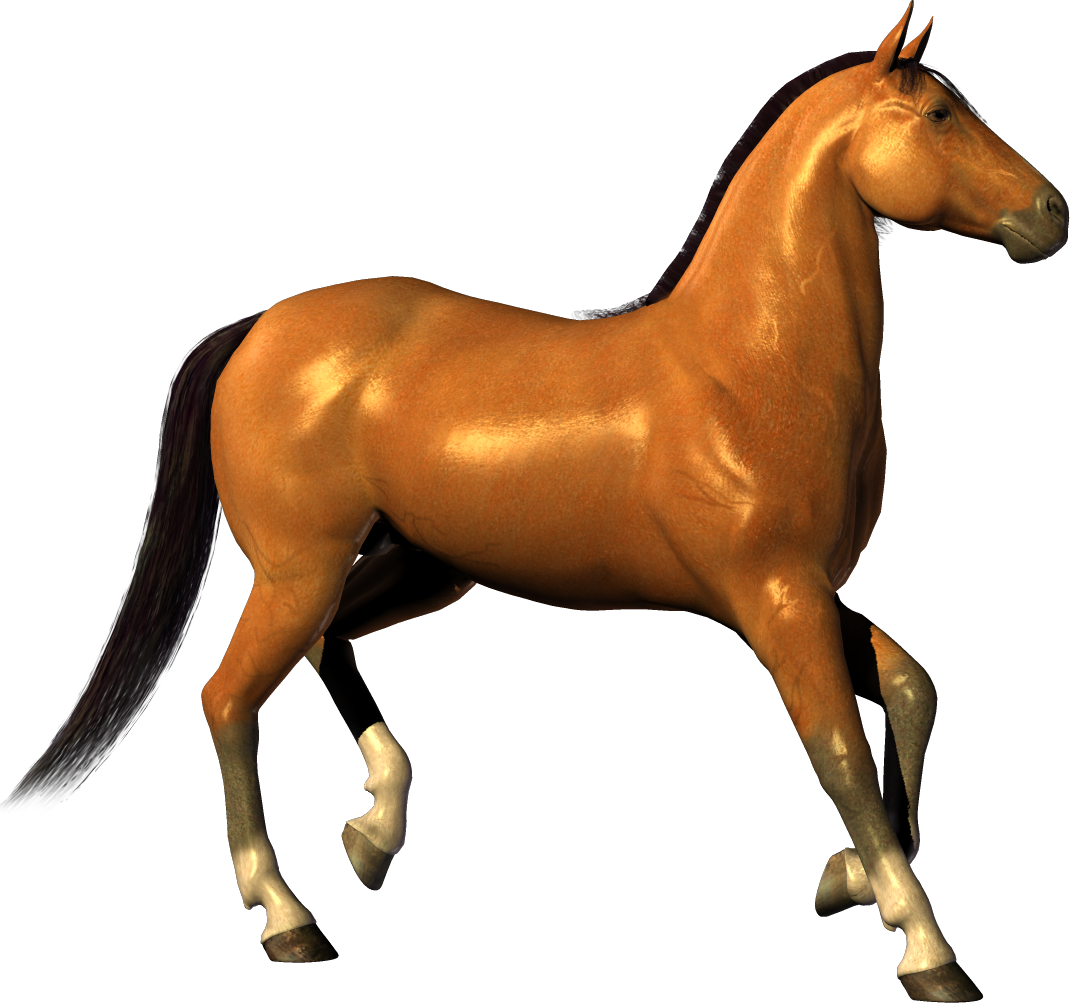 Transparent Horse Clipart - Transparent Horse Clipart - Free Transparent PNG Clipart Images Download. - Horse Transparent PNG Free Download