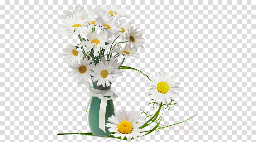 Download Unofficial Guide To Bed & Breakfasts Clipart - Horse Silhouette No Background Transparent PNG - 900x500 - Free Download on - Horse Transparent PNG Free Download