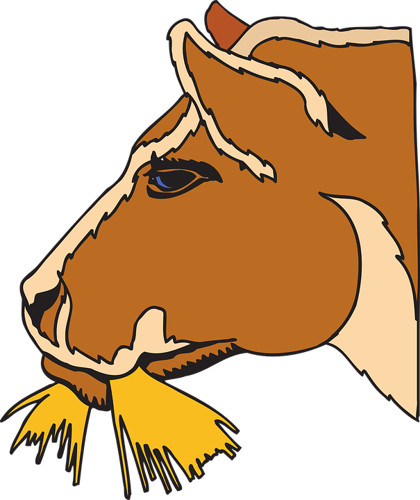 Cow Eating Hay Clipart - Horse Eating Hay Clip Art Transparent PNG - 605x720 - Free Download on - Horse Transparent PNG Free Download