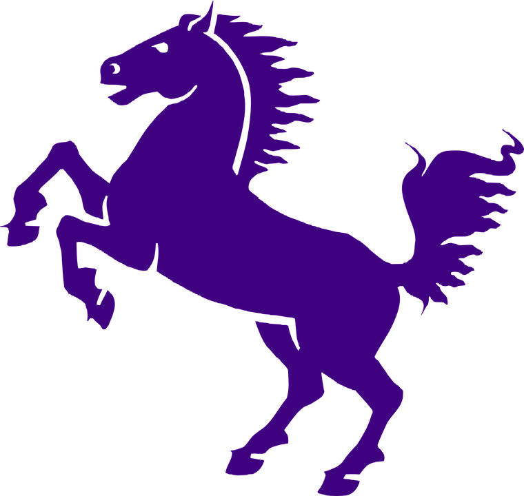 Animated Horses 20, Buy Clip Art - Cartoon Black Horse - Free Transparent PNG Clipart Images Download. - Horse Transparent PNG Free Download