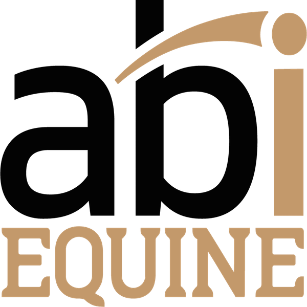 Abi Equine Is Proud To Be The Exclusive Arena Drag - Horse - Free Transparent PNG Clipart Images Download. - Horse Transparent PNG Free Download