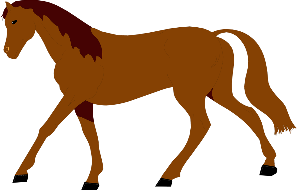 Free Stock Photos - Horse Illustration Free - Free Transparent PNG Clipart Images Download. - Horse Transparent PNG Free Download