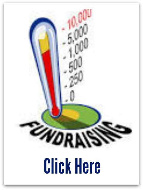 Welcome To Wild Horse Pto / Parent Teacher Organization - Pampered Chef Fundraiser - Free Transparent PNG Clipart Images Download. - Horse Transparent PNG Free Download