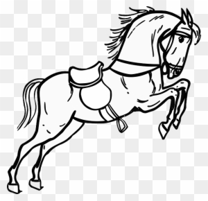 Contour Horse, Jumping, Standing, Animal, Outline, - Horse Black & White - Free Transparent PNG Clipart Images Download. - Horse Transparent PNG Free Download