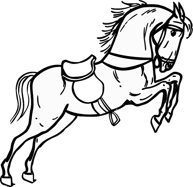 Contour Horse, Jumping, Standing, Animal, Outline, - Horse Black & White - Free Transparent PNG Clipart Images Download. - Horse Transparent PNG Free Download