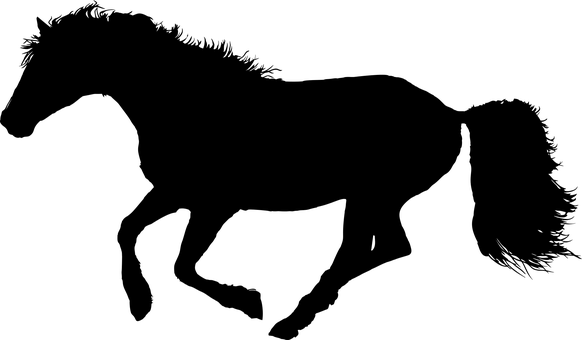 Animal, Equine, Galloping, Horse - Horse Galloping Png - Free Transparent PNG Clipart Images Download. - Horse Transparent PNG Free Download