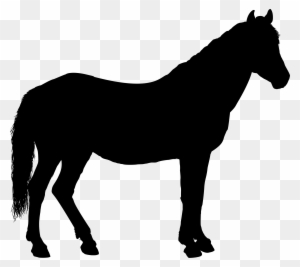 Horse Silhouette 3 - Horse Silhouette - Free Transparent PNG Clipart Images Download. - Horse Transparent PNG Free Download