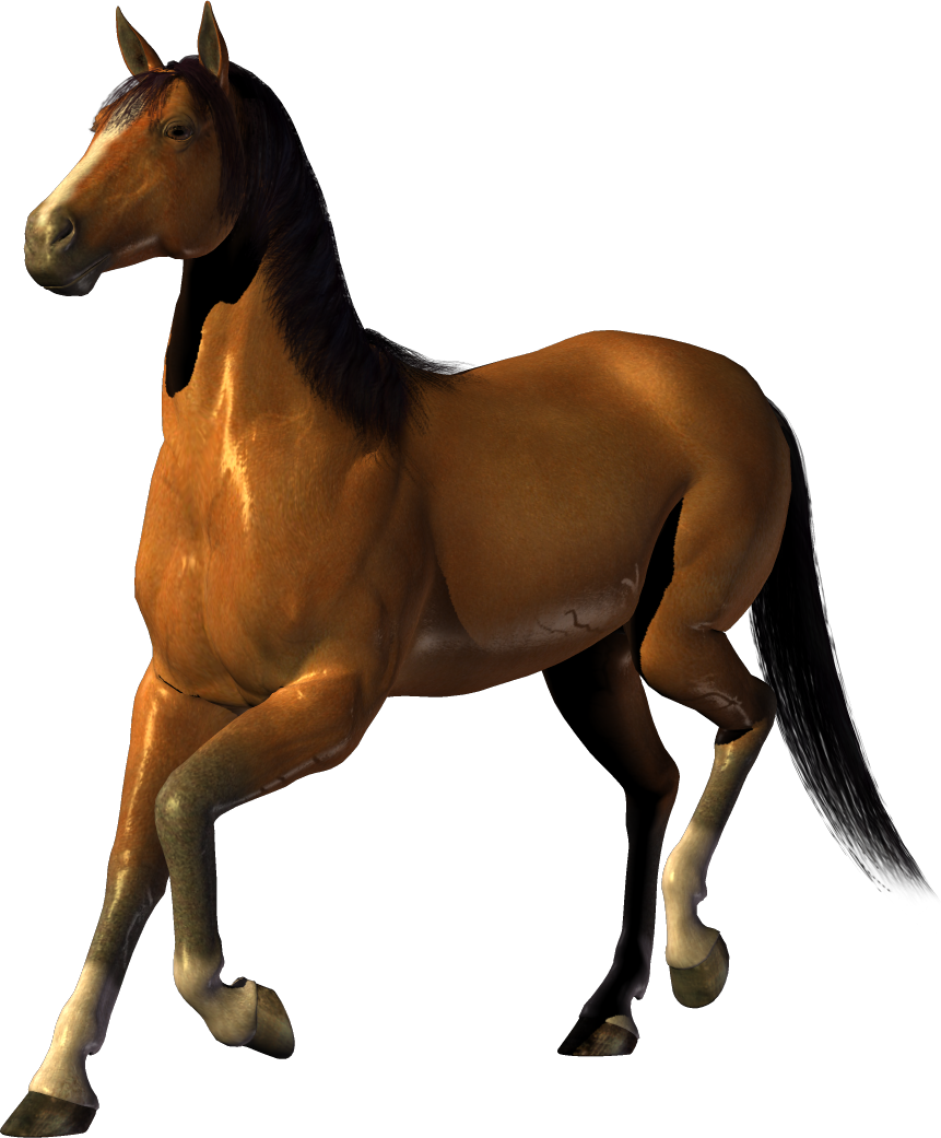 Horse Clipart Transparent - Transparent Background Clipart Horse - Free Transparent PNG Clipart Images Download. - Horse Transparent PNG Free Download