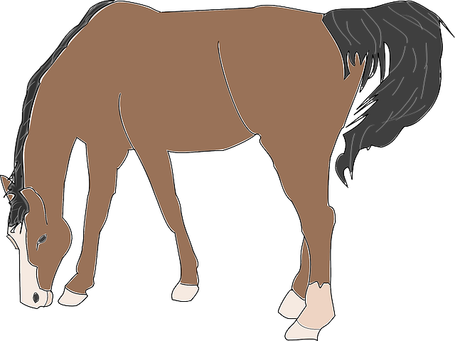 Granja, Caballo, De Tierra, Comer, Animales, Mamíferos - Horse Eating Clip Art - Free Transparent PNG Clipart Images Download. - Horse Transparent PNG Free Download