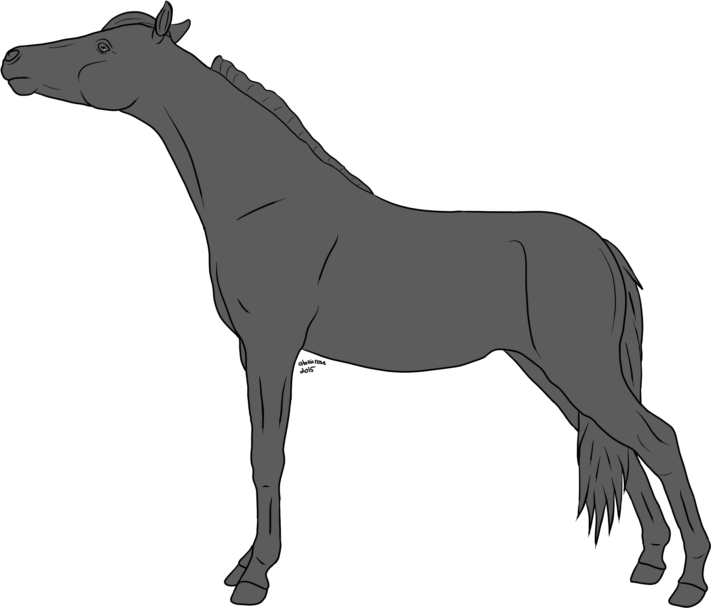 Horse Lineart Greyscale On Equinelineart Deviantart - Horse - Free Transparent PNG Clipart Images Download. - Horse Transparent PNG Free Download