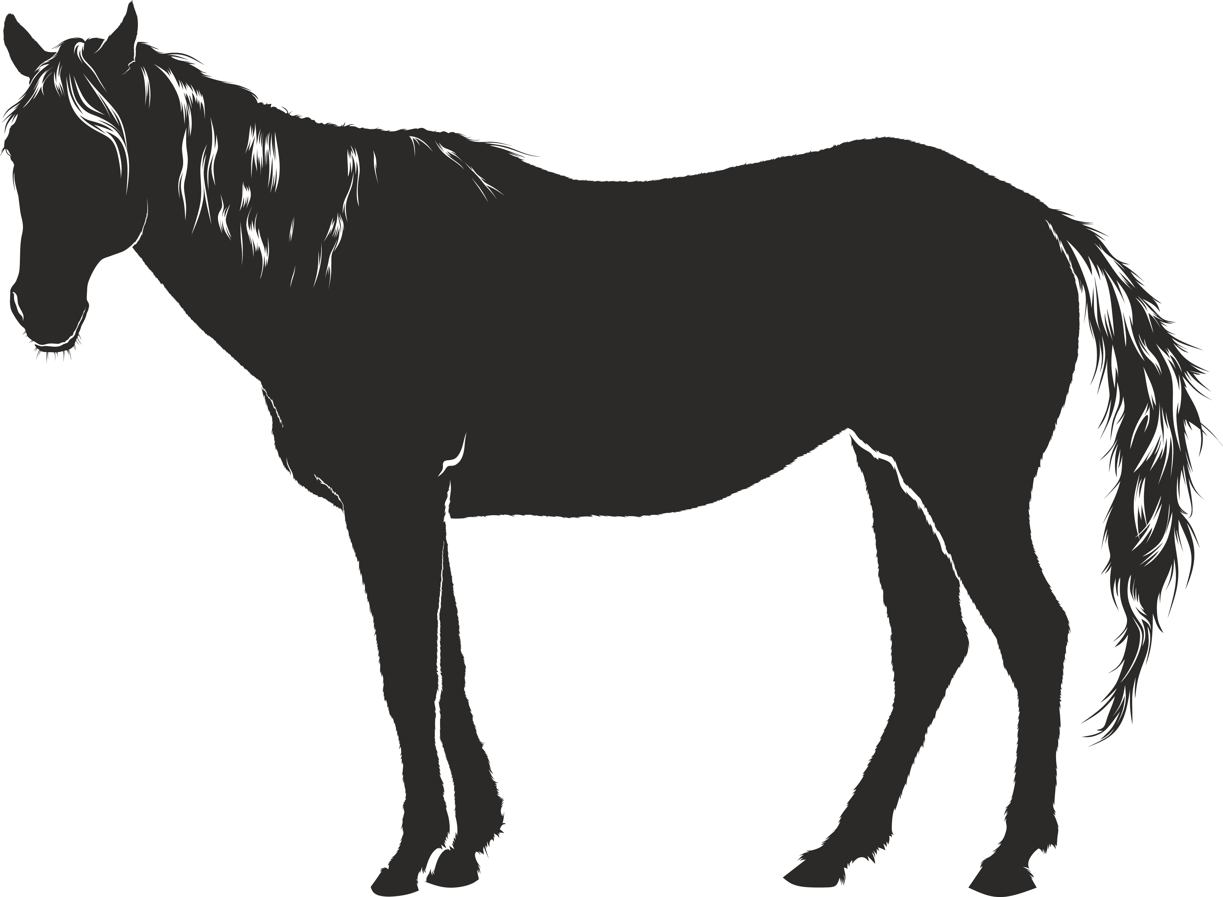 Free Clipart Of A Horse - Pferd Schatten - Free Transparent PNG Clipart Images Download. - Horse Transparent PNG Free Download