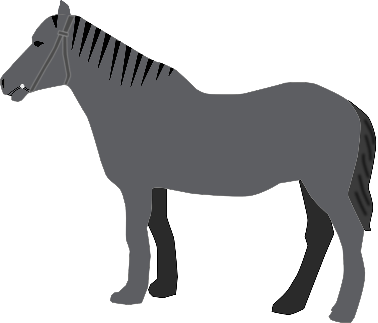 Horse Grey Animal Mammal Transparent Image - Custom Grey Horse Shower Curtain - Free Transparent PNG Clipart Images Download. - Horse Transparent PNG Free Download