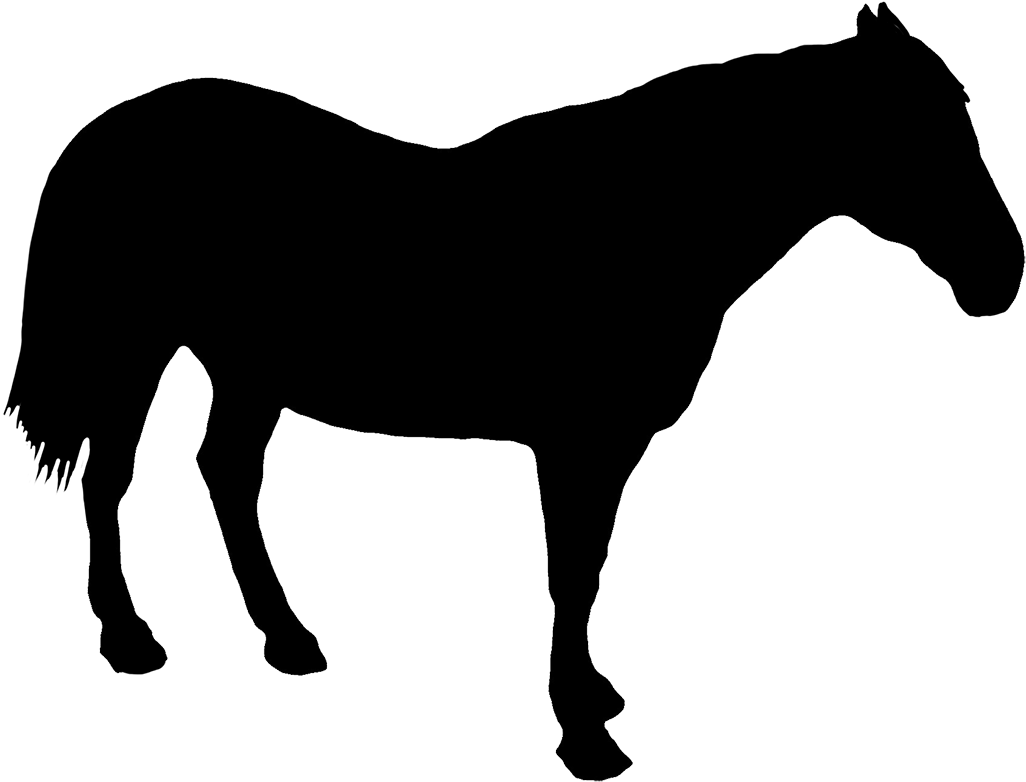 Horse Standing Silhouette, Horse Rider Silhouette Clipart - Horse Silhouette Standing - Free Transparent PNG Clipart Images Download. - Horse Transparent PNG Free Download