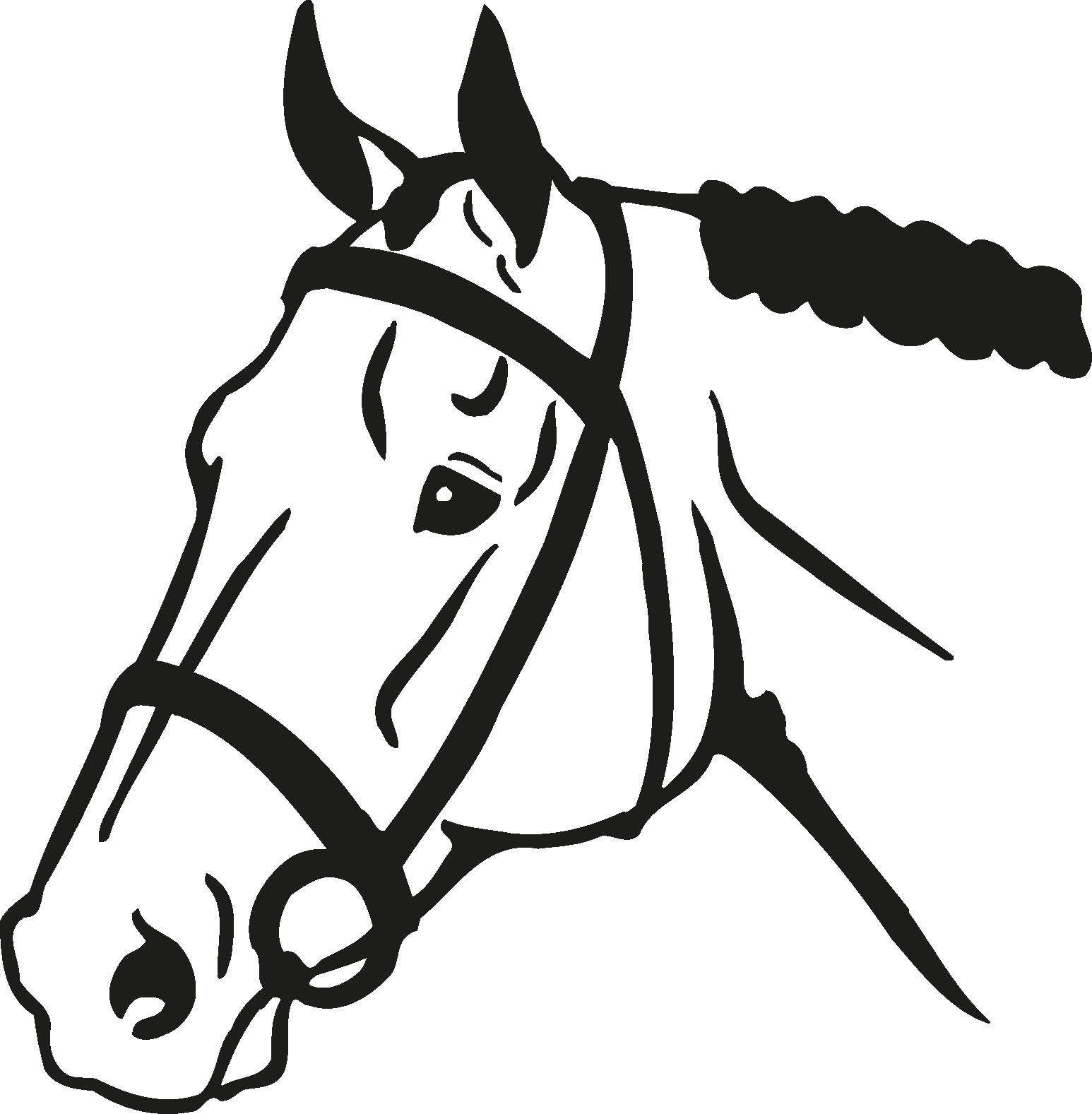 12 Horse Head Black And White Vectors [eps File] - Free Dxf Download Horse - Free Transparent PNG Clipart Images Download. - Horse Transparent PNG Free Download