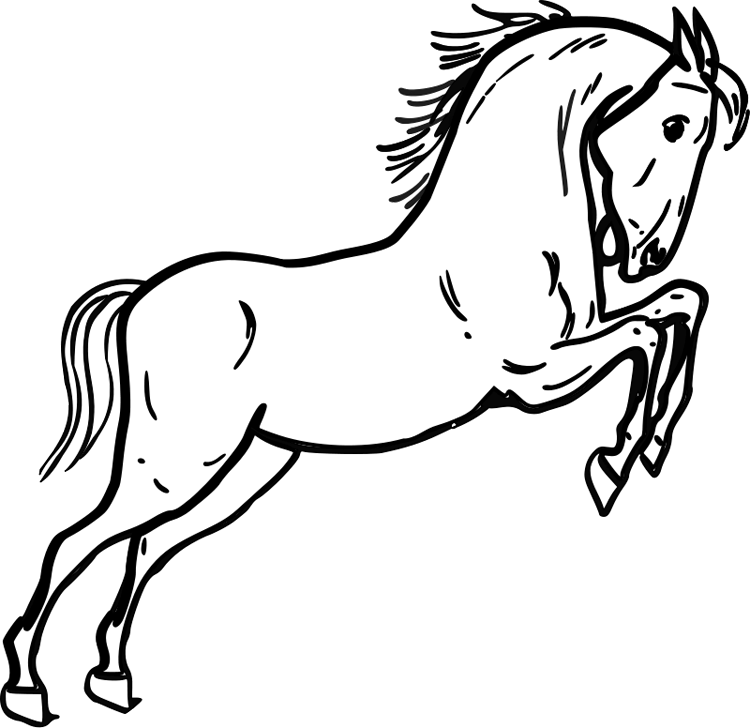 Outline Mustang Horse Cipart - Horse Clipart Black And White - Free Transparent PNG Clipart Images Download. - Horse Transparent PNG Free Download