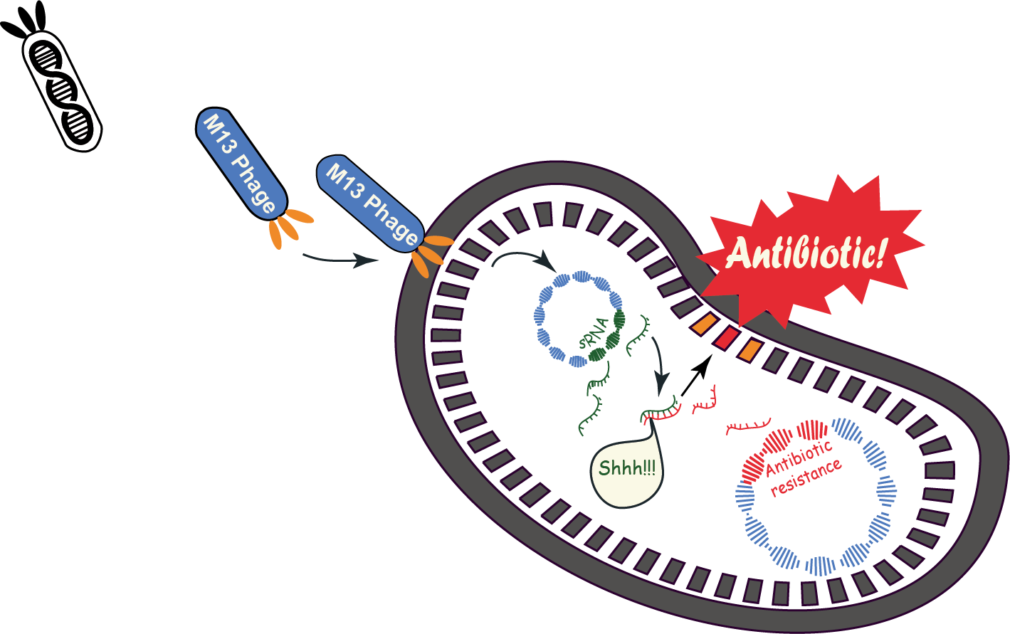The Trojan Horse Strategy - Trojan Horse Antibiotics - Free Transparent PNG Clipart Images Download. - Horse Transparent PNG Free Download