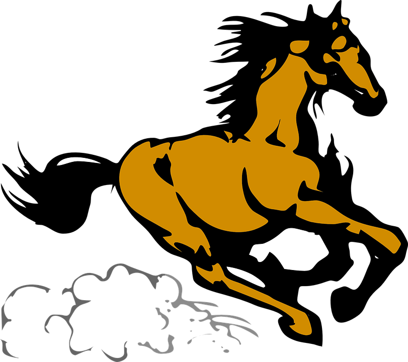 Horse, Animal, Fast, Mammal, Speedy, Equine - Running Stallion Shower Curtain - Free Transparent PNG Clipart Images Download. - Horse Transparent PNG Free Download
