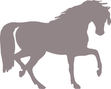 Horse, Silhouette, Isolated, Animal - Horse Silhouette Clip Art - Free Transparent PNG Clipart Images Download. - Horse Transparent PNG Free Download
