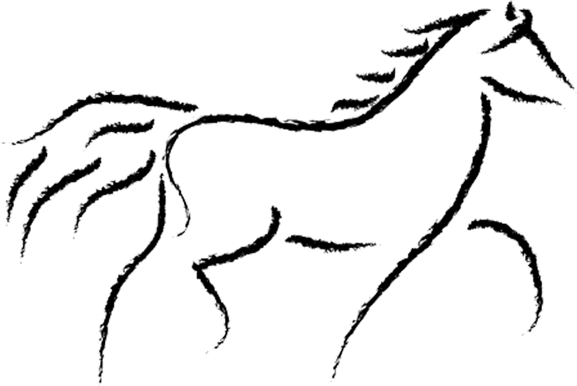 Equine Anatomy And Biomechanics - Running Horse Sketch - Free Transparent PNG Clipart Images Download. - Horse Transparent PNG Free Download