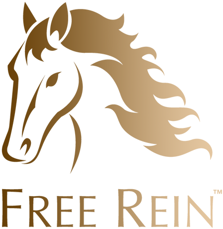 Free Rein™ Fleece Bandages Are Made Of Super Soft High - We Are Free (split Track Accompaniment Cd) - 4-part - Free Transparent PNG Clipart Images Download. - Horse Transparent PNG Free Download