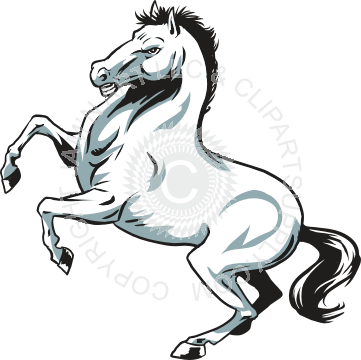 Rearing Stallion Horse - Rearing Horse Shower Curtain - Free Transparent PNG Clipart Images Download. - Horse Transparent PNG Free Download