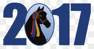 2017 Grand National & World Championship Morgan Horse - Horse - Free Transparent PNG Clipart Images Download. - Horse Transparent PNG Free Download