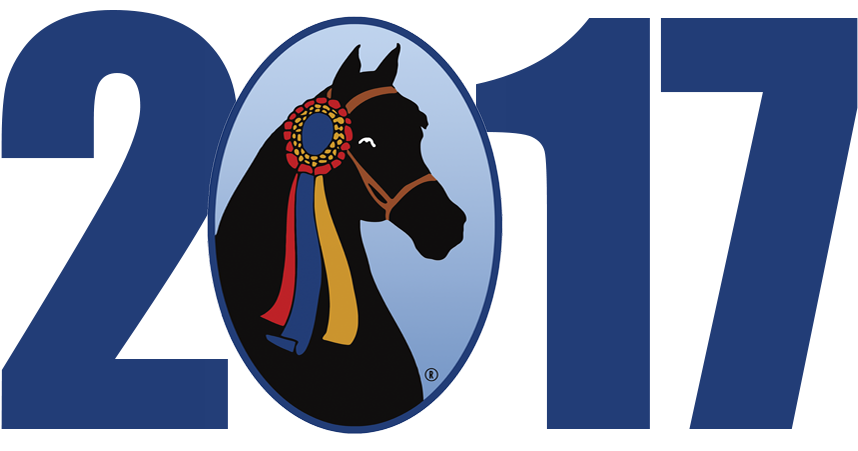 2017 Grand National & World Championship Morgan Horse - Horse - Free Transparent PNG Clipart Images Download. - Horse Transparent PNG Free Download