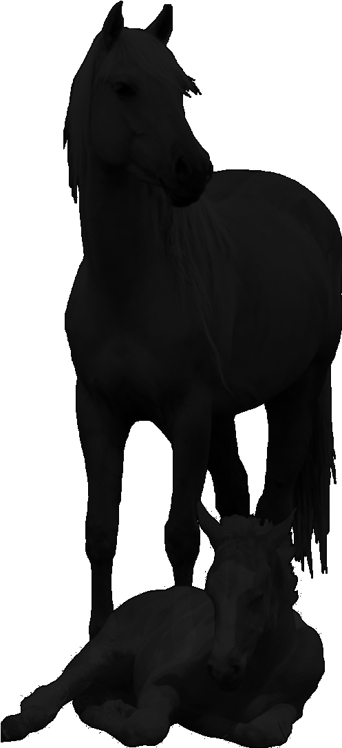 Click On Any Photo For Larger Picture/slideshow To - Horse - Free Transparent PNG Clipart Images Download. - Horse Transparent PNG Free Download