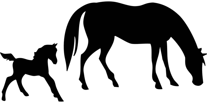 Animals Horse Mare Foal Broodmare Animal S - Horse Silhouette - Free Transparent PNG Clipart Images Download. - Horse Transparent PNG Free Download