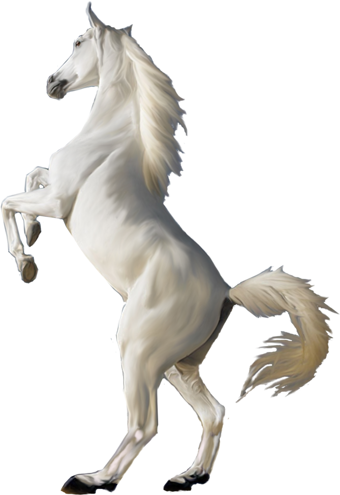 Horse White Clipart Png Jumping - White Horse Png - Free Transparent PNG Clipart Images Download. - Horse Transparent PNG Free Download