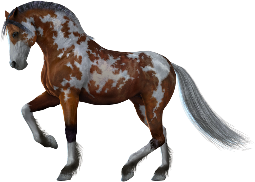 Horse Png Images - Horse With White Background - Free Transparent PNG Clipart Images Download. - Horse Transparent PNG Free Download