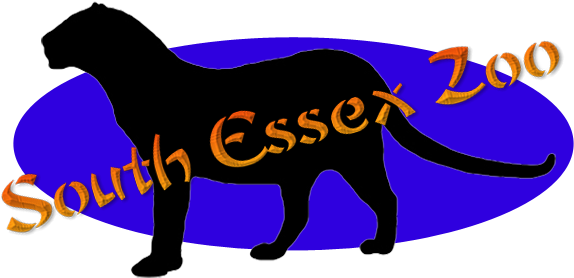 South Essex Zoo Is A Small, Recently Opened Zoo Owned - Horse - Free Transparent PNG Clipart Images Download. - Horse PNG South Essex Zoo Is A Small, Recently Opened Zoo Owned - Horse - Free Transparent PNG Clipart Images Download. - Horse Transparent PNG Free Download