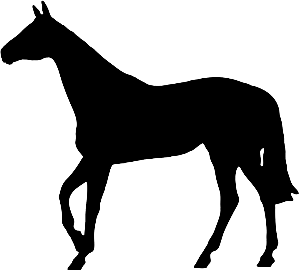 Horse Black Silhouette - Silhouette Of A Boxer Dog Transparent PNG - 1063x936 - Free Download on - Horse Transparent PNG Free Download