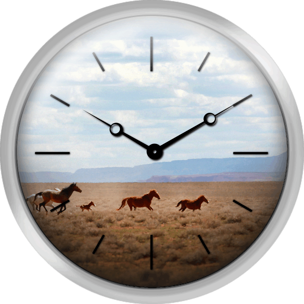Wild Horses Navajo Nation Indian Reservation Usa - Red Wall Clock For Christmas Transparents Transparent PNG - 992x992 - Free Download on - Horse Transparent PNG Free Download