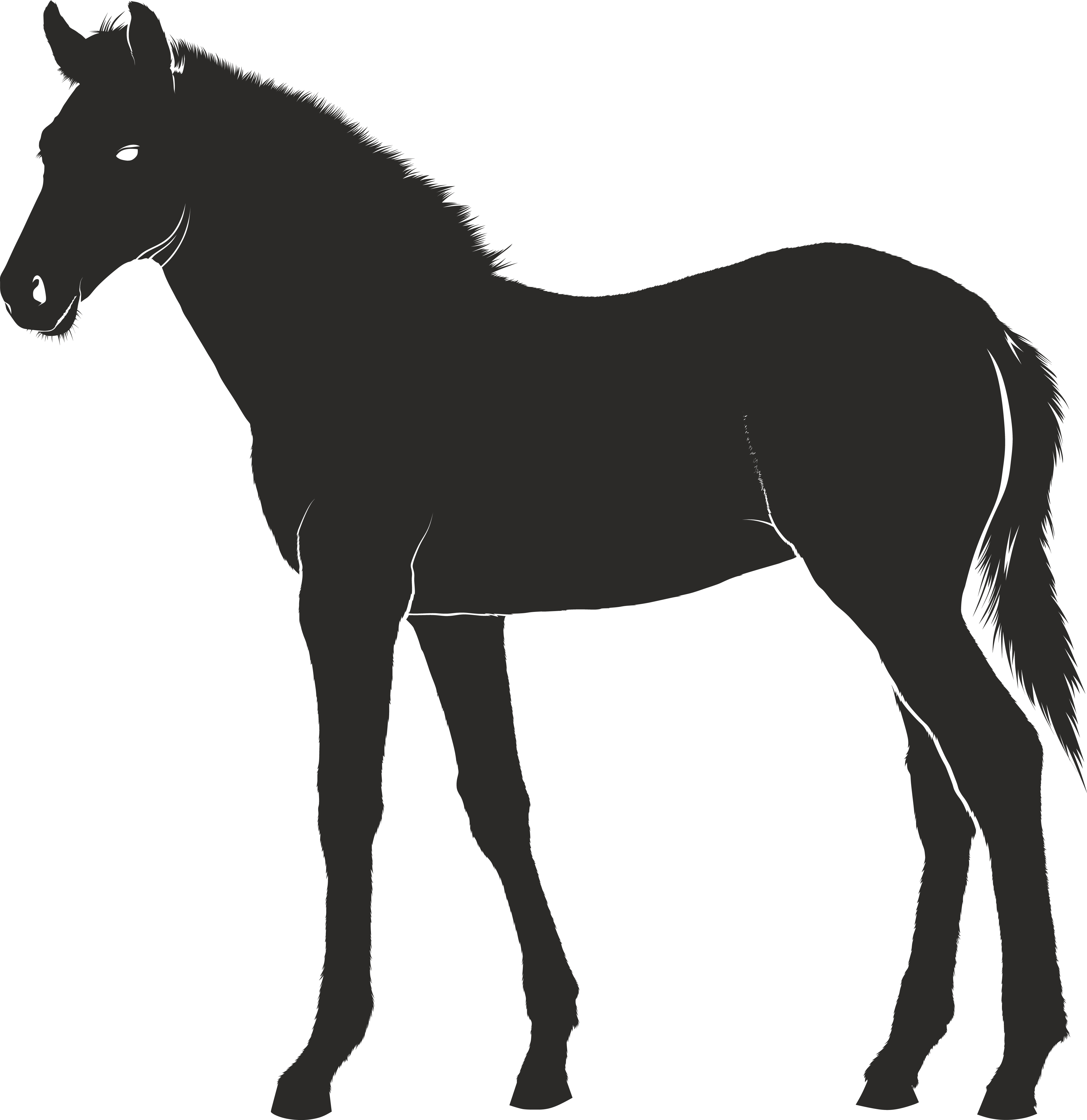 Free Clipart Of A Horse - French Mastiff Silhouette Transparent PNG - 4000x4122 - Free Download on - Horse Transparent PNG Free Download