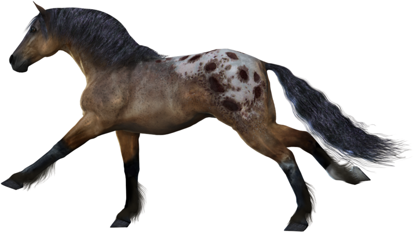 Horse Clipart Transparent Background - Horse - Free Transparent PNG Clipart Images Download. - Horse Transparent PNG Free Download