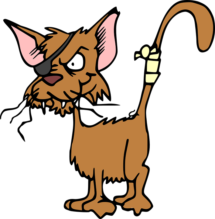 Cartoon Picture Of Horse 20, Buy Clip Art - Stray Cat Clip Art - Free Transparent PNG Clipart Images Download. - Horse Transparent PNG Free Download