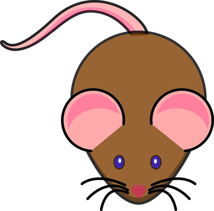 Mice Cartoon Cliparts - Animated Picture Of A Mouse - Free Transparent PNG Clipart Images Download. - Mouse Transparent PNG Free Download