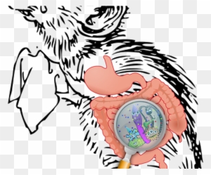 Early-life Stress Goes From Brain To Gut To Microbiota - Sad Mouse Cartoon - Free Transparent PNG Clipart Images Download. - Mouse Transparent PNG Free Download