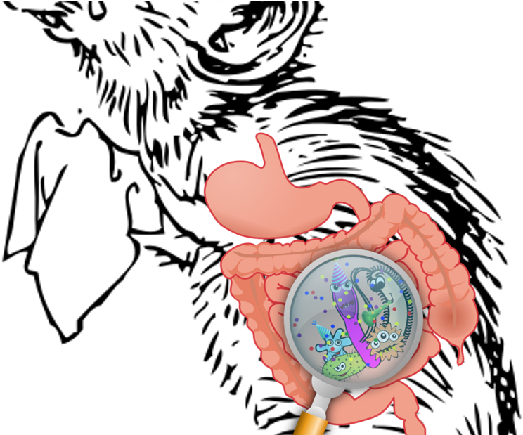 Early-life Stress Goes From Brain To Gut To Microbiota - Sad Mouse Cartoon - Free Transparent PNG Clipart Images Download. - Mouse Transparent PNG Free Download