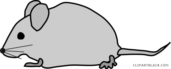Gray Mouse Animal Free Black White Clipart Images Clipartblack - Maus Clipart - Free Transparent PNG Clipart Images Download. - Mouse Transparent PNG Free Download
