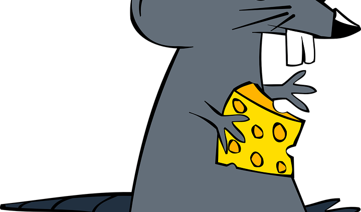 Mouse Rodent Cheese Rat Mammal Animal Cartoon 152162 - Cartoon-maus Mit Käse Karte - Free Transparent PNG Clipart Images Download. - Mouse Transparent PNG Free Download