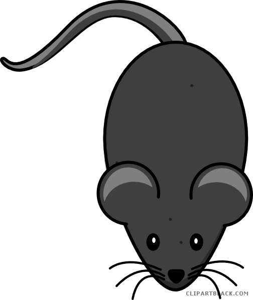 Black Mouse Animal Free Black White Clipart Images - Cartoon Mouse Tail Png - Free Transparent PNG Clipart Images Download. - Mouse Transparent PNG Free Download